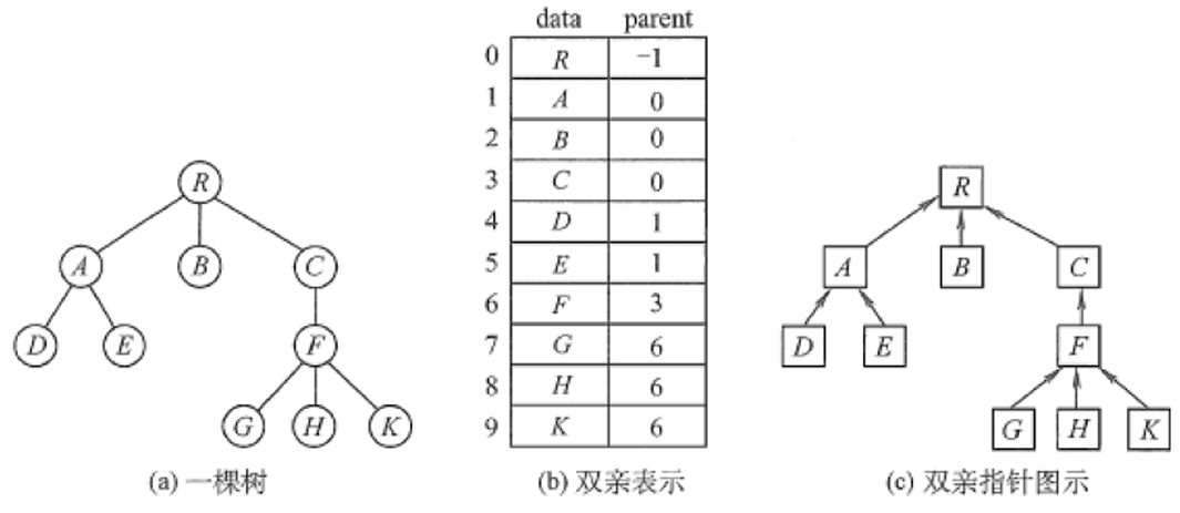 双亲表示法.png